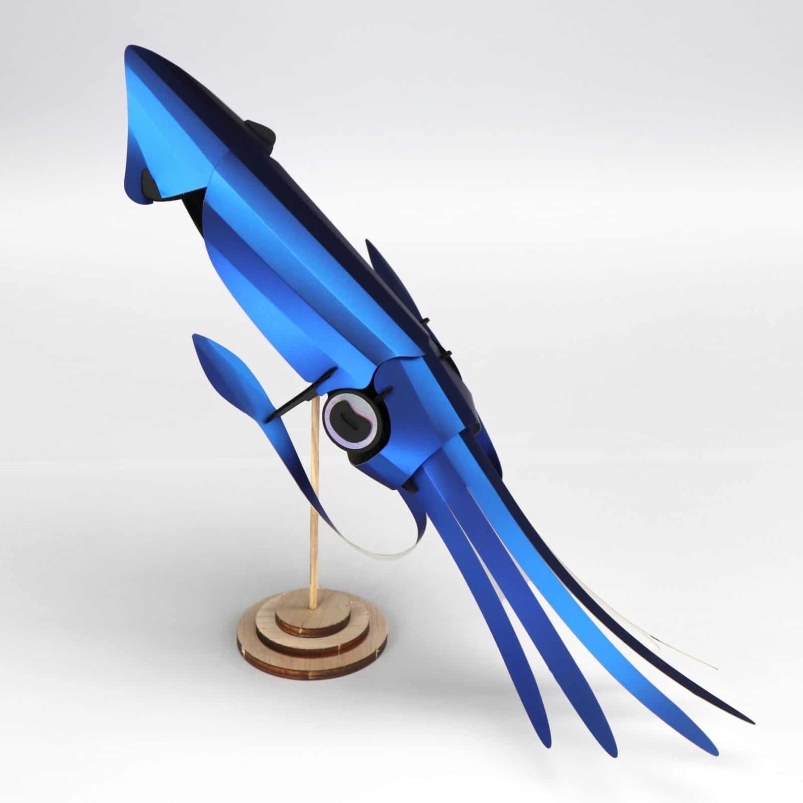 Squid - Calmar à assembler Assembli